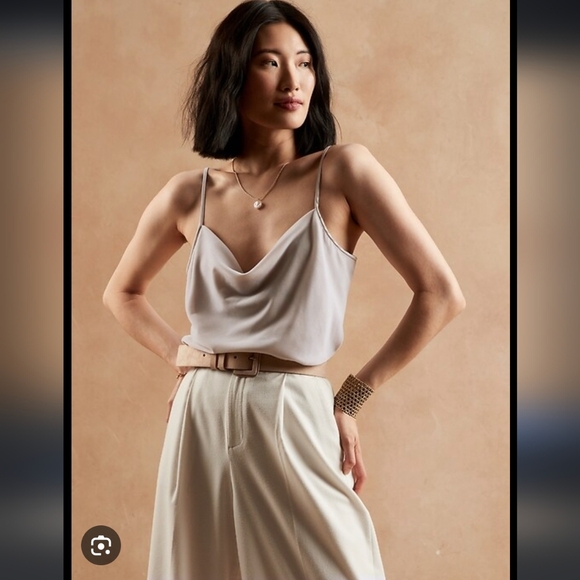 Banana Republic Tops - Silver Velvet Cowl Neck Selenite Banana Republic Camisole